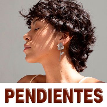 Pendientes Indra Sant Andreu